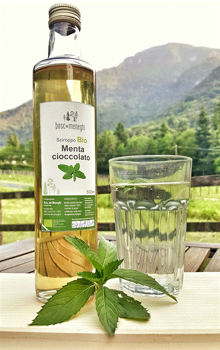 Sciroppo Menta CIoccolato.gif